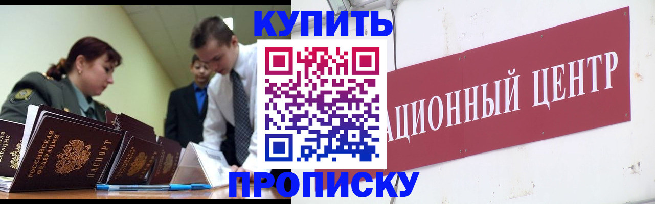 прописка поиск в Нововоронеже